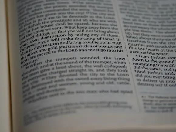 Casino Grand Eagle Stuðningur